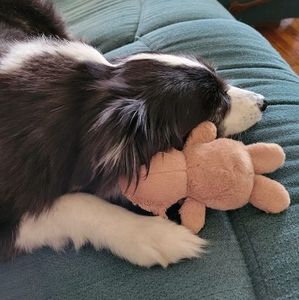 Meet your Posher, Teresa